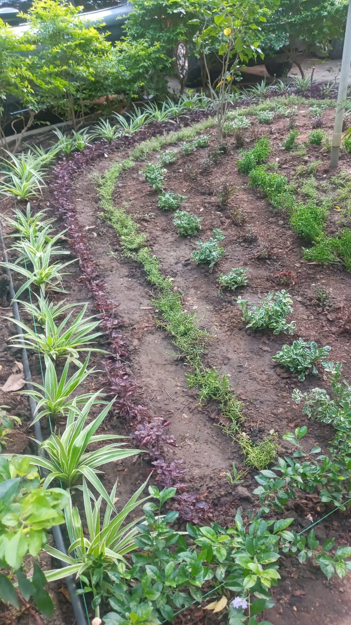 General landscaping work